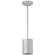 Pilson LED Pendant (29000LEDDLP-SAT)