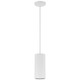 Pilson LED Pendant (29001LEDDLP-MWH)