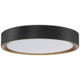 Malaga LED Flush Mount (49971LEDDLP-MBL/ACR)