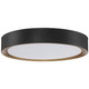 Malaga LED Flush Mount (49972LEDD-MBL/ACR)