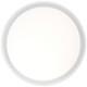 Lucia LED Flush Mount (49991LEDD-WH/ACR)