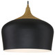 Blend LED Pendant (52057LEDDLP-BL/WGN)