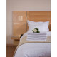 Villa LED Reading Light (62087LED-GLD)