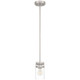 Shelby One Light Pendant (63080-BS/CLR)