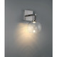Port Nine Burgundy LED Wall Sconce (63145LEDD-BS/CLR)