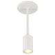 Cafe Dual Mount LED Wall Or Ceiling SpotLight (72010LEDDLP-MWH)