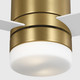 Era 52" Ceiling Fan (3ERHR52BBSD)