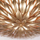 Broche Six Light Semi Flush Mount (517-GA_CEILING)