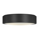 Albee Flush Mount (GLF1053MBK)
