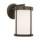 Generation Lighting - GLO1091OE-ANBZ - Lantern - Luning - Antique Bronze