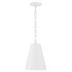 Alston Two Light Chandelier (8685-MT-GA)