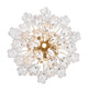 Addis Six Light Chandelier (ADD-306-AG-CL)