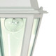 Briton One Light Hanging Lantern (60-487)