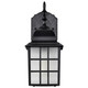 Adams One Light Wall Lantern (60-4906)