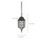 Adams One Light Hanging Lantern (60-4913)