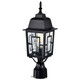 Banyan One Light Post Lantern (60-4929)
