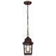 Banyan One Light Hanging Lantern (60-4932)