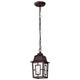 Banyan One Light Hanging Lantern (60-4932)