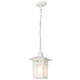 Cove Neck One Light Hanging Lantern (60-4954)