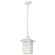 Cove Neck One Light Hanging Lantern (60-4954)