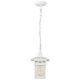 Cove Neck One Light Hanging Lantern (60-4954)