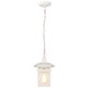 Cove Neck One Light Hanging Lantern (60-4954)