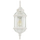 Boxwood One Light Wall Lantern (60-4971)
