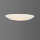 Diverse LED Flush Mount (57853WTWT)