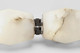Collier LED Chandelier (SLCH55527ALBBZS)