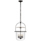 manufacturer_finish:Aged Iron|manufacturer_glass:Clear Glass