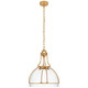 manufacturer_finish:Antique-Burnished Brass|manufacturer_glass:Clear Glass