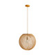 Indiana One Light Pendant (45629)