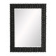 Arteriors - 4616 - Mirror - Paxton - Black Stained