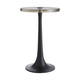 Arteriors - 4798 - Table - Eric - Natural Iron