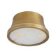 Louisa LED Flush Mount (DFC23)