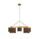 Langston Five Light Chandelier (DLI14)