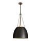 Leda One Light Pendant (DPC23)