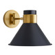 Lane One Light Wall Sconce (DWC98)