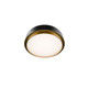 manufacturer_finish:Black/Aged Brass|color_temperature:2700K