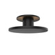 manufacturer_finish:Black
