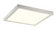 Troy LED Flushmount (47525-030)