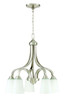 manufacturer_finish:Brushed Polished Nickel|manufacturer_glass:White Frost