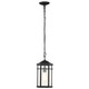 Raiden One Light Outdoor Hanging Lantern (60-5759)