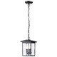 Nuvo Lighting - 60-5933 - Three Light Outdoor Hanging Lantern - Jamesport - Matte Black