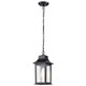 Nuvo Lighting - 60-5958 - One Light Outdoor Hanging Lantern - Stillwell - Matte Black