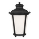 manufacturer_finish:Black|manufacturer_glass:Etched / White Inside|light_source:Unspecified|light_output:Unspecified|color_temperature:Unspecified|cri:Unspecified