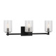 Parker Three Light Wall / Bath (GLV1033EN/MBK)