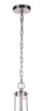Elliot Five Light Chandelier (55325-BNK)