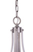 Elliot Five Light Pendant (55395-BNK)