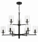 Hailie Nine Light Chandelier (55629-FB)